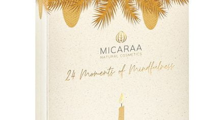 MICARAA Advent Calendar 2022