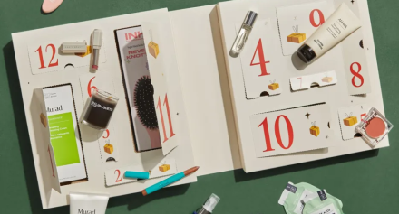 FabFitFun Advent Calendar 2024 FabFitFun Advent Calendar 2024