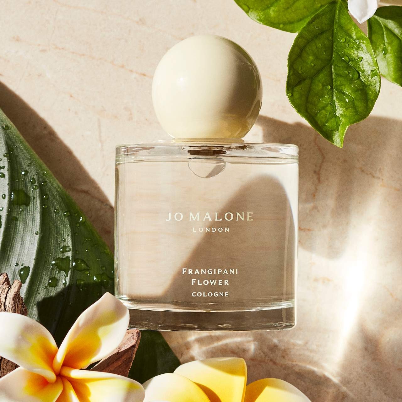 Jo Malone London Frangipani Flower Cologne Jo Malone London Frangipani Flower Cologne