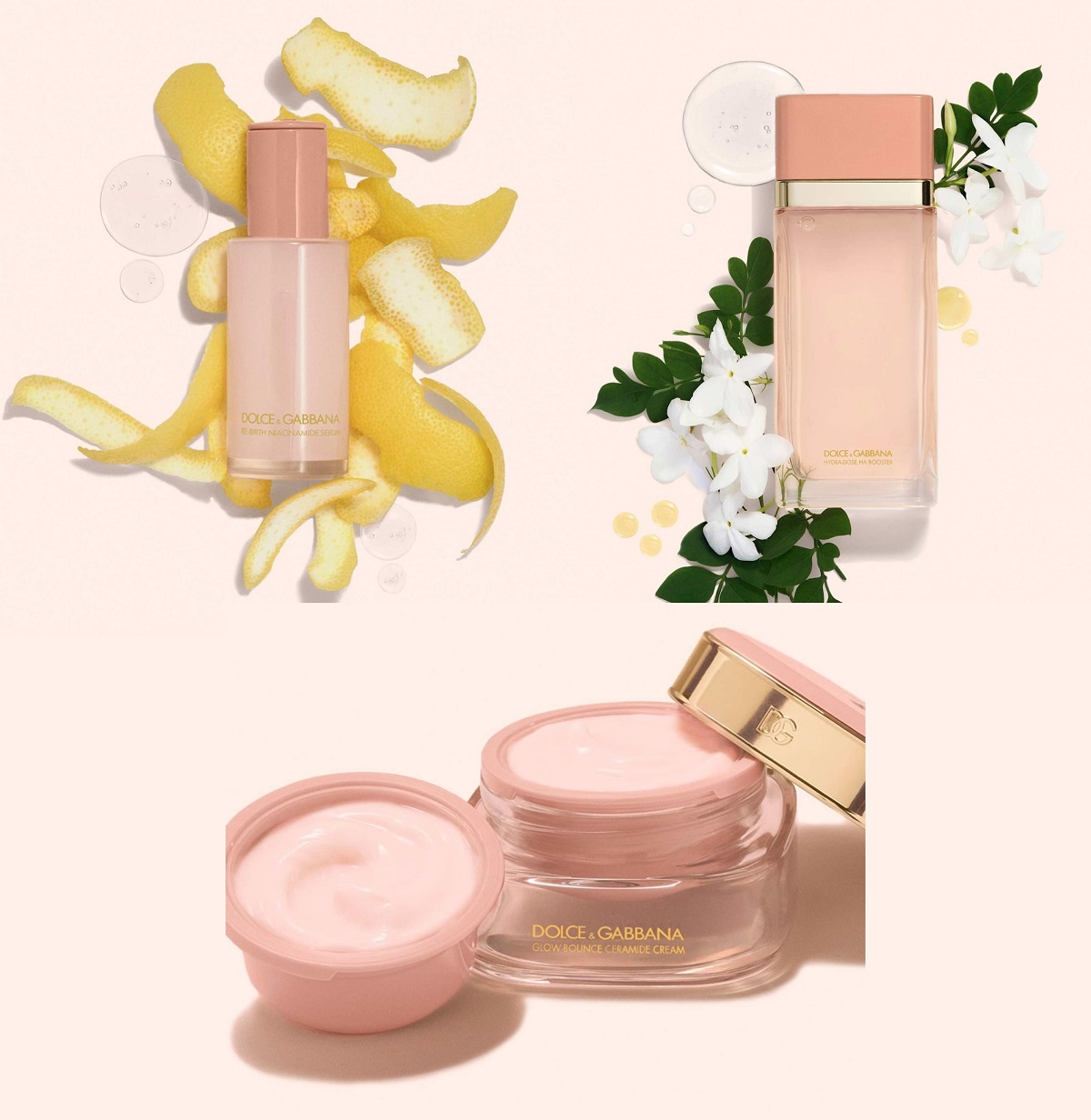 New launches from Dolce & Gabbana New launches from Dolce & Gabbana