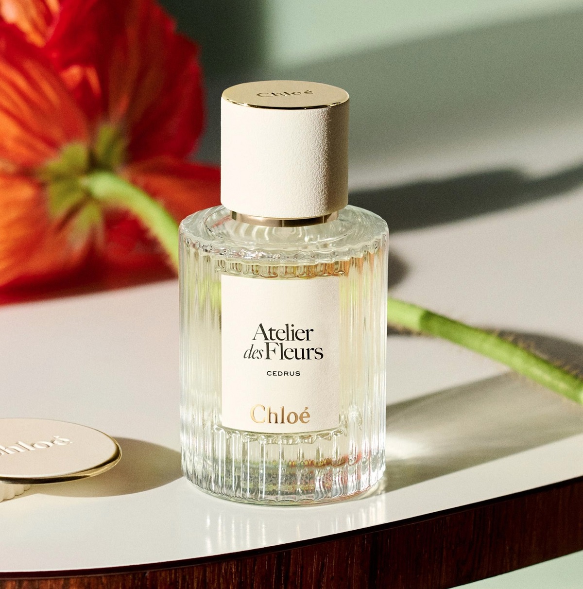 Chloé Atelier des Fleurs Cedrus Solid Perfume