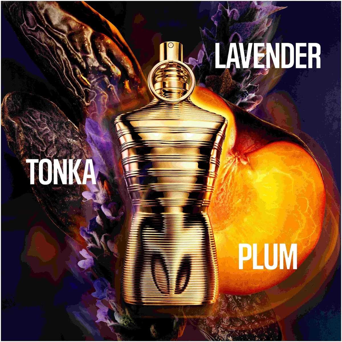 Jean Paul Gaultier Le Male Elixir Absolu Eau de Parfum