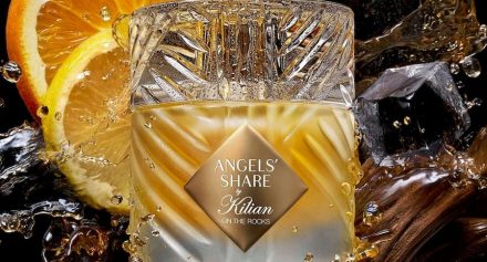 Deals of the Day Deals of the Day