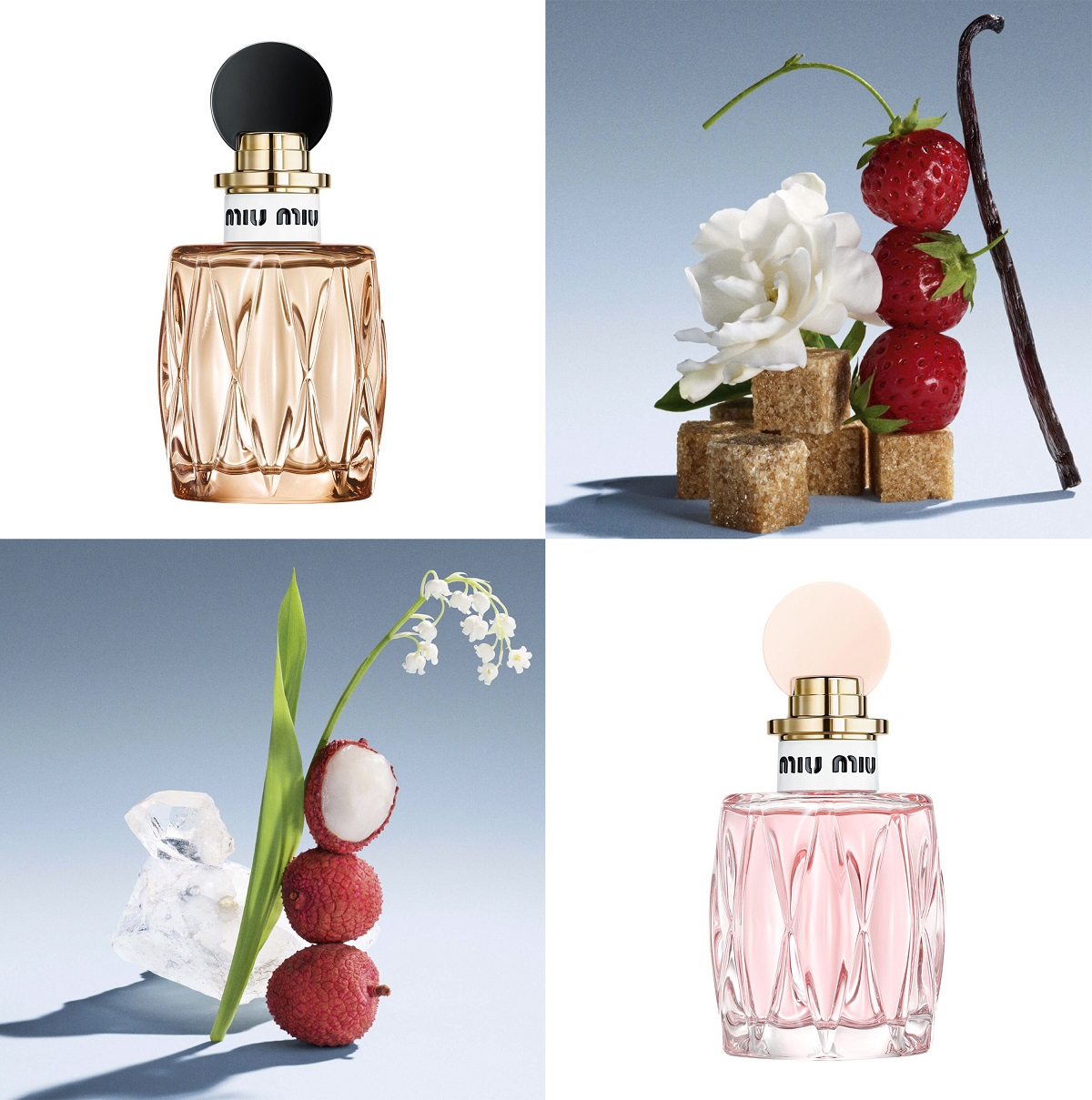 New launches from Miu Miu are coming soon New launches from Miu Miu are coming soon