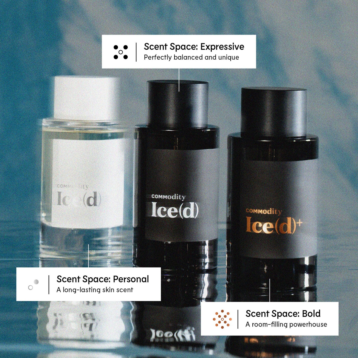 New launches from Commodity