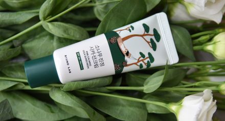 ROUND LAB Pine Calming Cica Sunscreen Review ROUND LAB Pine Calming Cica Sunscreen Review