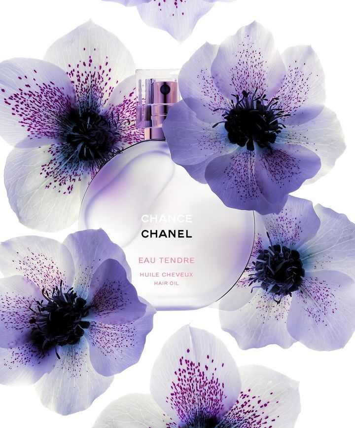 Chanel Chance Eau Tendre Hair Oil is coming soon Chanel Chance Eau Tendre Hair Oil is coming soon