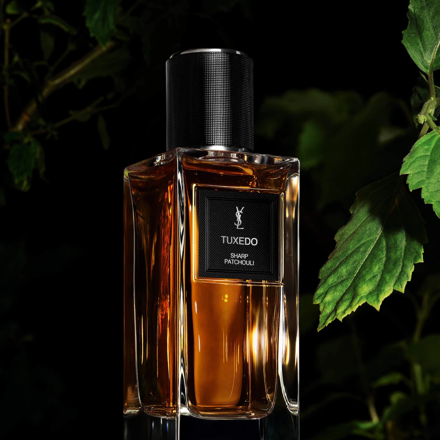 YSL Tuxedo Sharp Patchouli YSL Tuxedo Sharp Patchouli