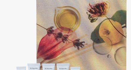 Dr Hauschka Glow Collection Advent Calendar 2026 Dr Hauschka Glow Collection Advent Calendar 2026