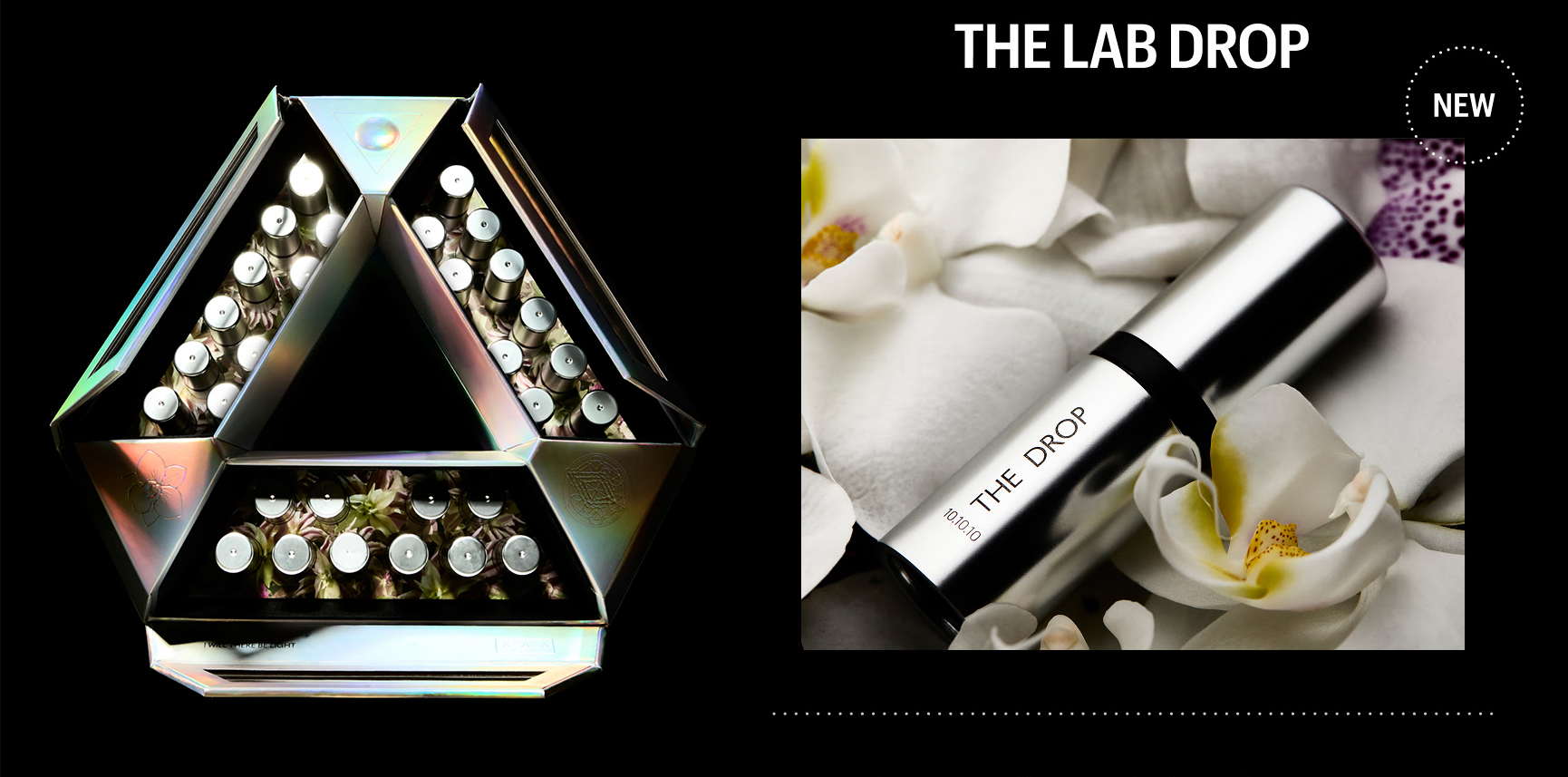 Allies of Skin The Lab Drop 10/10/10 Multi GF Exo Advanced Recovery Ampoules Allies of Skin The Lab Drop 10/10/10 Multi GF Exo Advanced Recovery Ampoules